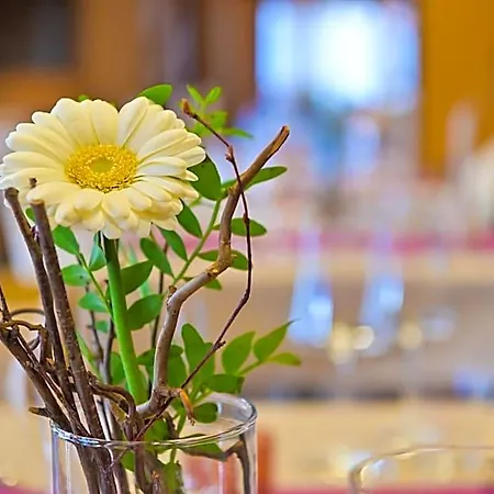 Tauernstern Hotel 4*