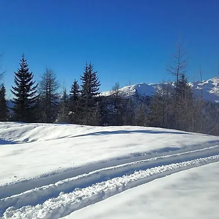 Tauernstern Hotel 4*